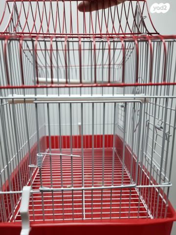 תמונת מודעה - חיות מחמד