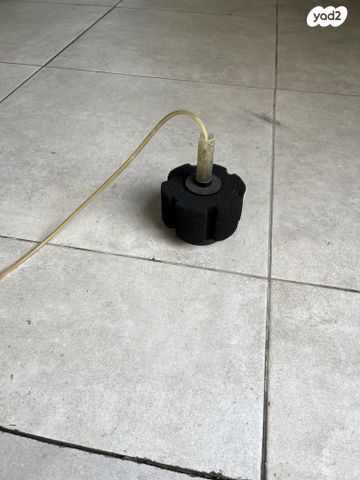 תמונת מודעה - חיות מחמד