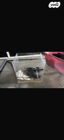 תמונת מודעה - חיות מחמד