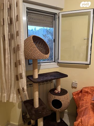 אביזרים | משחקים וצעצועים