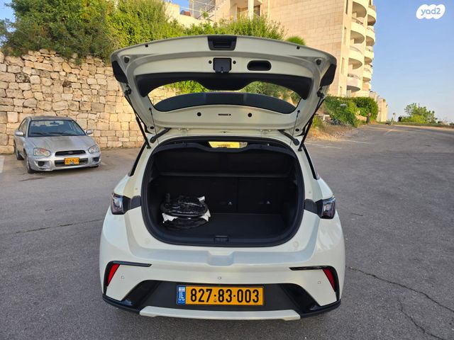 בי.ווי.די דולפין