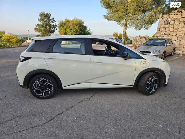 בי.ווי.די דולפין