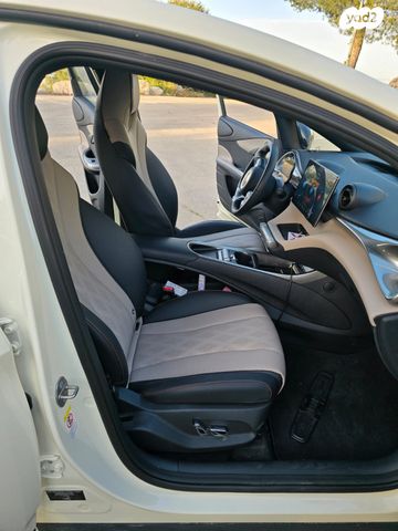 בי.ווי.די דולפין