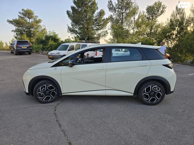 בי.ווי.די דולפין