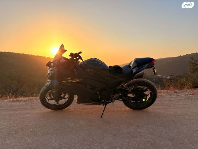 קאוואסאקי נינג'ה 300