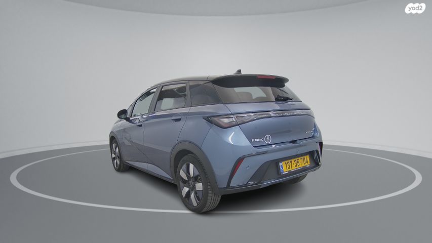 בי.ווי.די דולפין