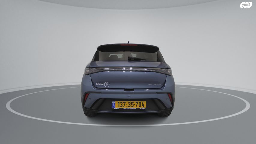 בי.ווי.די דולפין