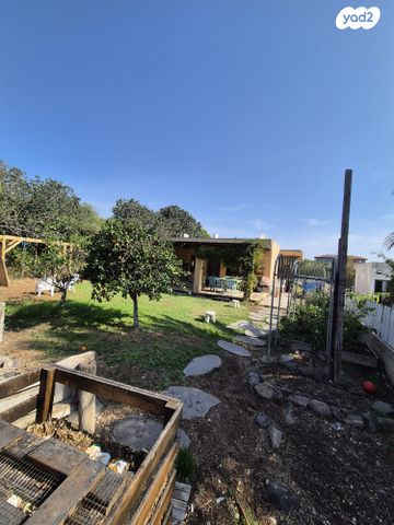 בית פרטי/ קוטג', השקד 201, שרונה, שרונה