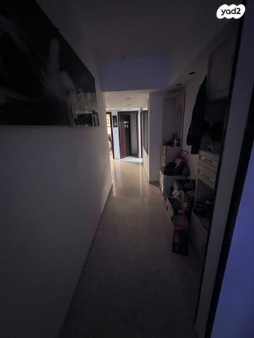 דוד אלעזר 23