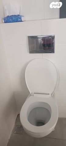 איילת השחר 5