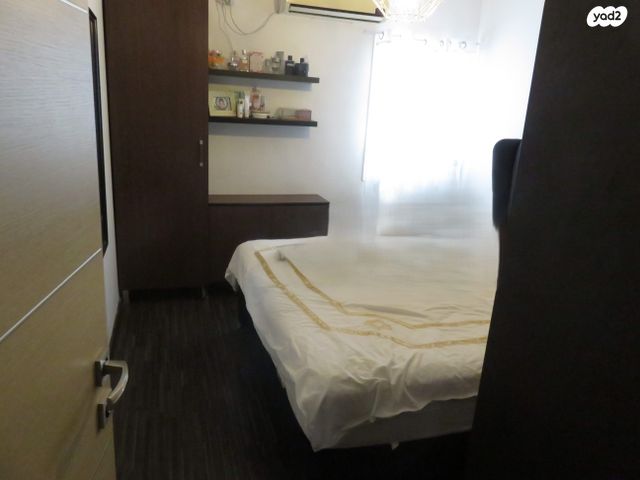 שועלי שמשון 6