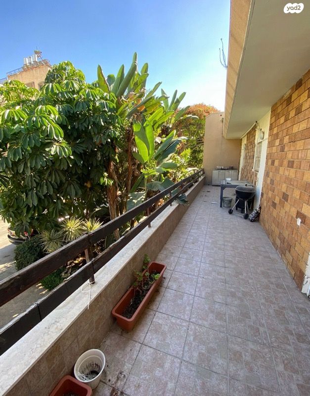 א.ד. גורדון 44