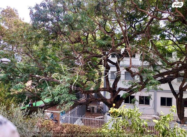 דירה, ליאון בלום, רמת אביב, תל אביב יפו