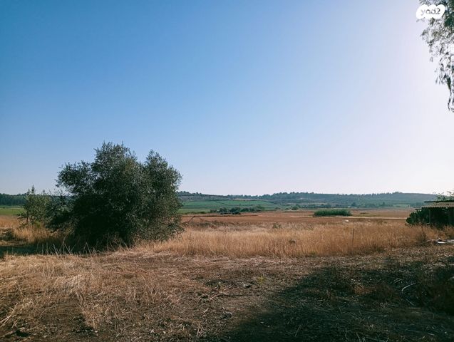 משק חקלאי/ נחלה, טל שחר