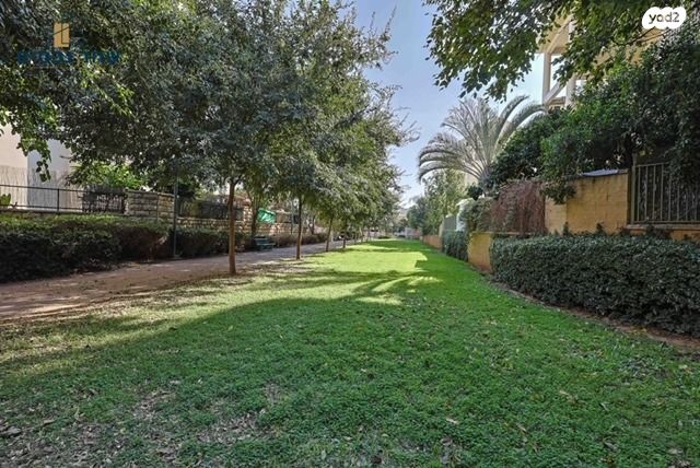 דירה, הדרים, הדרים החדשה, כפר סבא