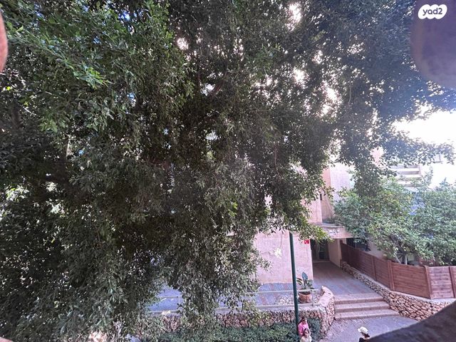 דירה, כפר סבא