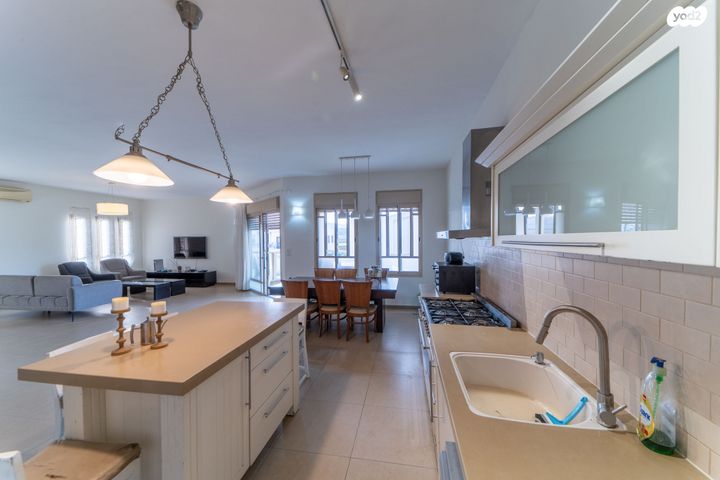 גג/ פנטהאוז, רמת ישי