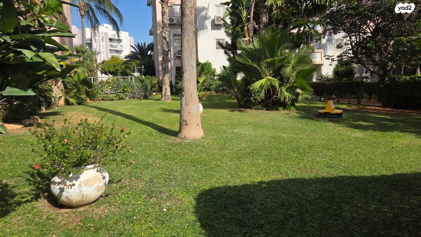 דירה, אמנון ותמר, רמת פולג, נתניה