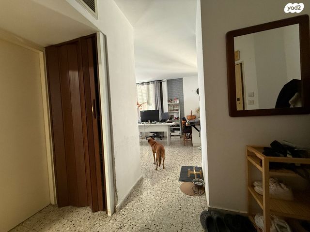 דירה, שדרות ניצה, נתניה