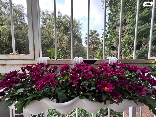 דירה, רבקה גובר 3, ראשונים, כפר סבא