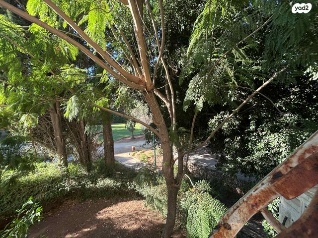 דירה, כפר סבא