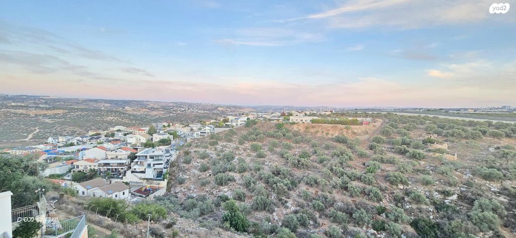 דירה, אורנית