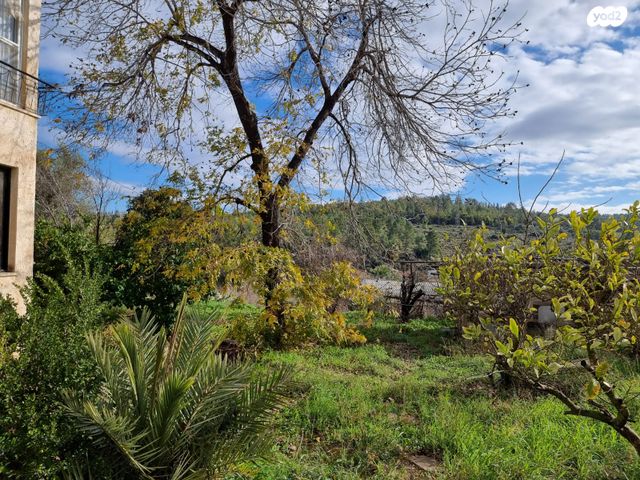 משק חקלאי/ נחלה, הכלנית, תרום