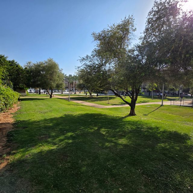 דירה, עגנון, דרום מערב ותיק, בת ים