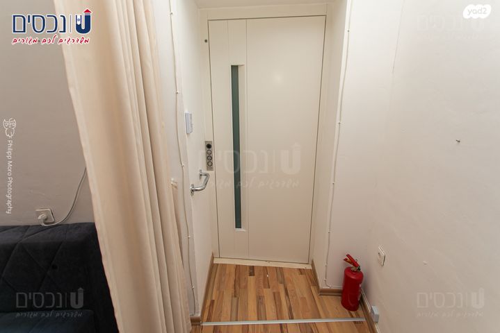 דירת גן, כרמליה, חיפה