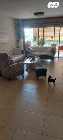 דוד טבצ'ניק 