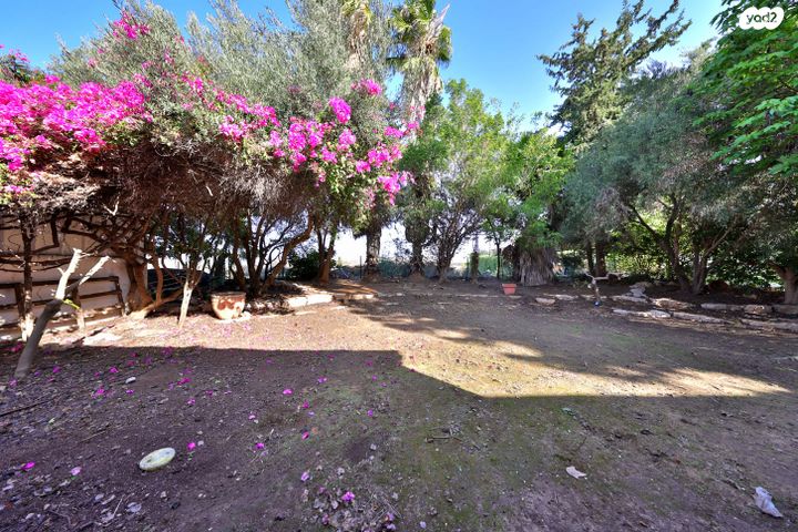 בית פרטי/ קוטג', עדי