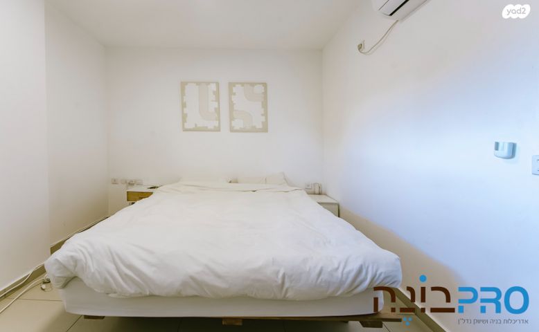 דירה, שלמה אלירז, רמב"ם, ראשון לציון