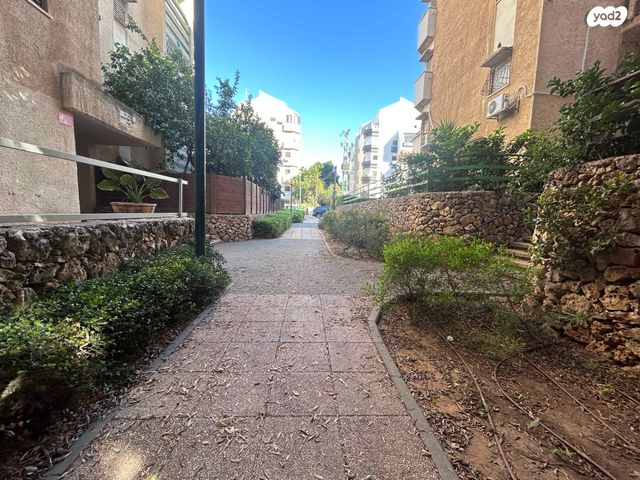 דירה, כפר סבא