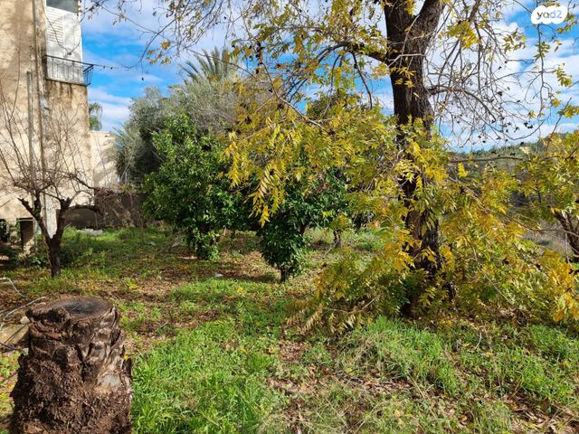 משק חקלאי/ נחלה, הכלנית, תרום