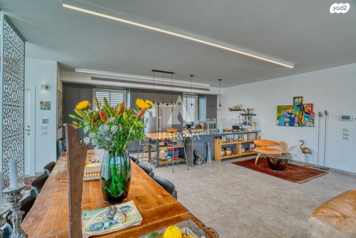 גג/ פנטהאוז, טולוז, עג'מי, גבעת העליה, תל אביב יפו