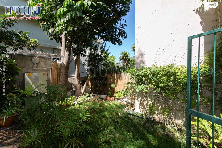 דירת גן, כרמליה, חיפה