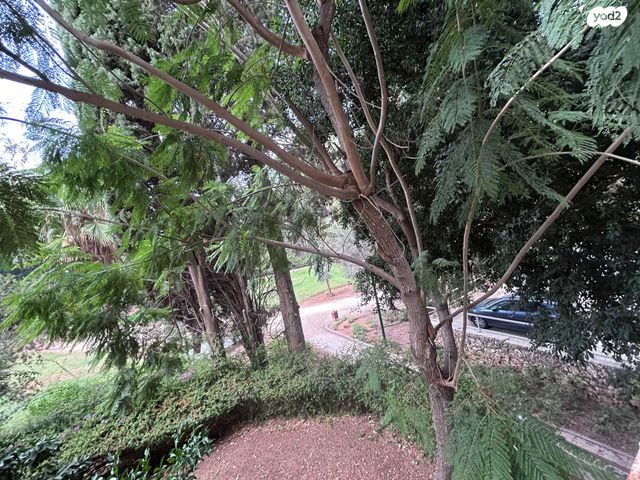 דירה, כפר סבא