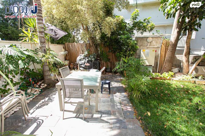 שלומציון המלכה 