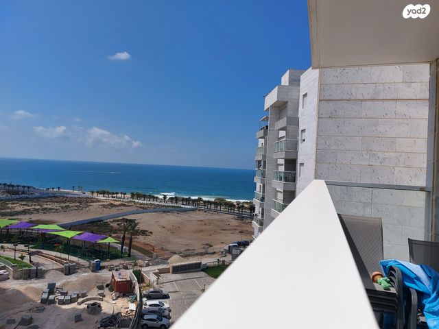 עיר ימים / הבלוט