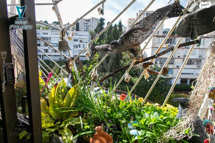 דירה, אורן, רמת בן גוריון, חיפה