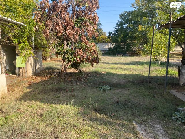 בית פרטי/ קוטג', אבן עזרא, כפר סבא