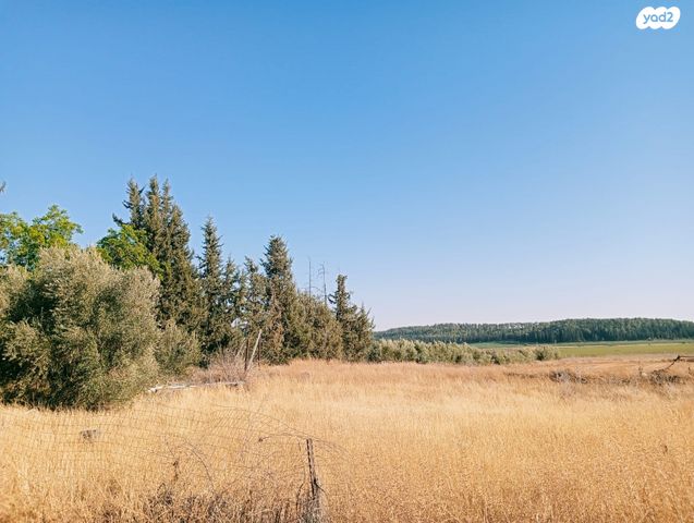 משק חקלאי/ נחלה, טל שחר