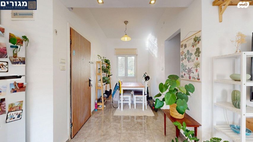 דירה, הגליל, נווה שאנן, חיפה