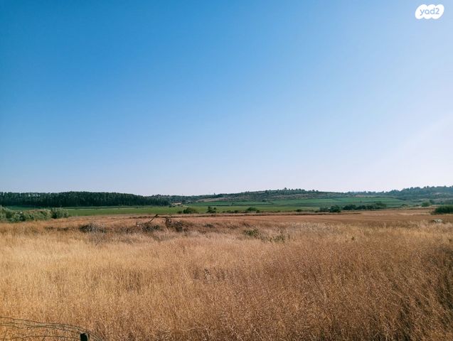 משק חקלאי/ נחלה, טל שחר