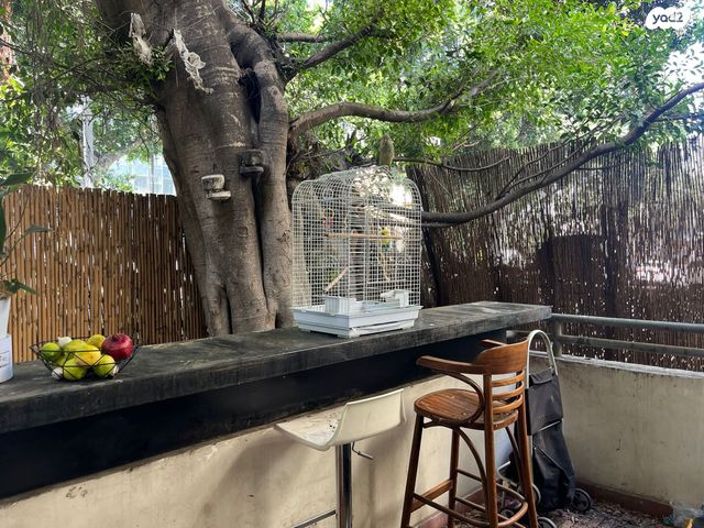 דירת גן, שדרות רוטשילד 70, לב תל אביב, לב העיר צפון, תל אביב יפו