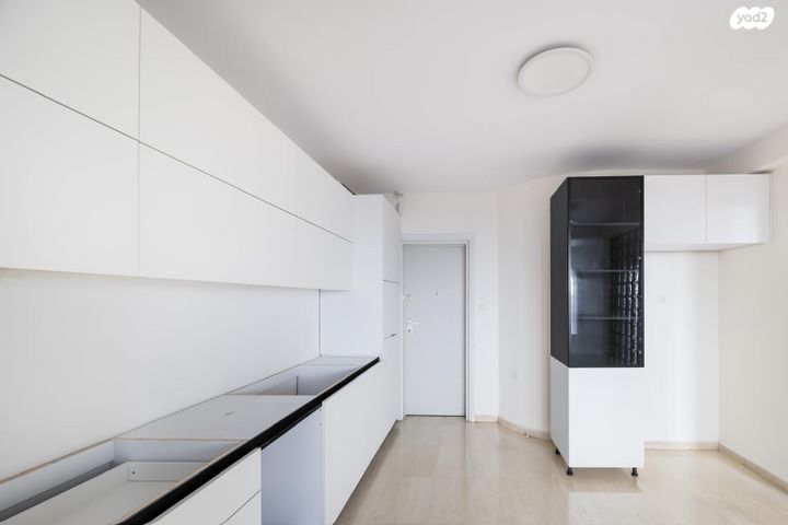 הנשיא יצחק בן צבי 