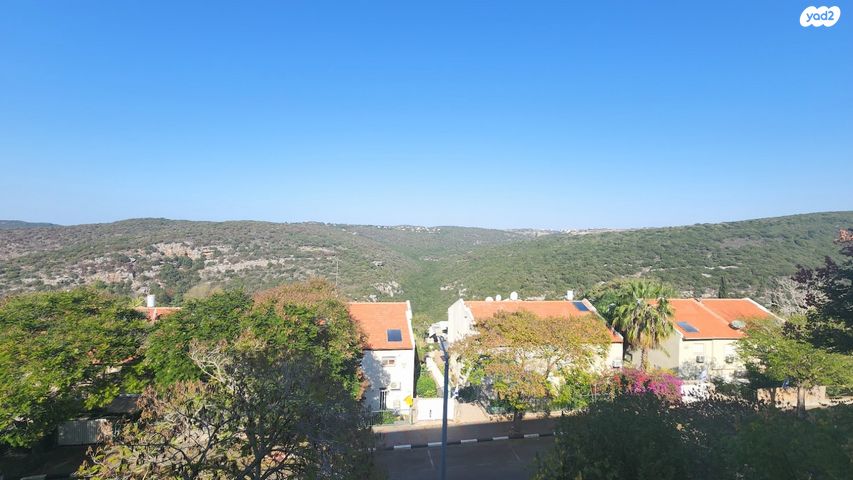 דירה, ההגנה, יצחק רבין, מעלות תרשיחא