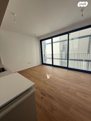 דירה, זלטופולסקי, הצפון הישן - צפון, תל אביב יפו