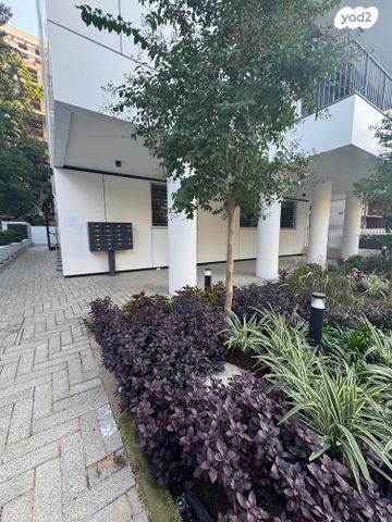 הצפון החדש - דרום