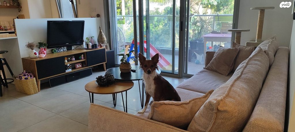 דירה, הבנים, הרצליה